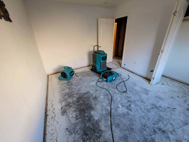 Carpet water damage restoration in Fredericksburg, TX