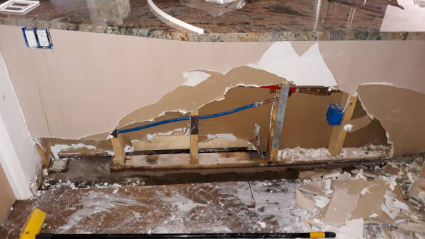 Best Ceiling water damage repair  in Fredericksburg, TX