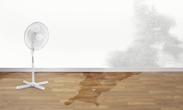 Best 24/7 water damage repair  in Fredericksburg, TX